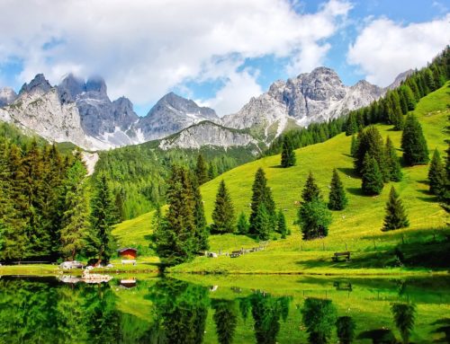 Südtirol –  Almrosenblüte auf der Seiseralm 23.06. – 28.06.2023