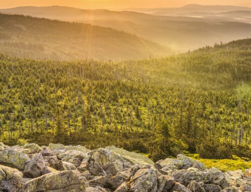 4 Tages-Fahrt in den bayerischen Wald vom 06.07. – 09.07.2023