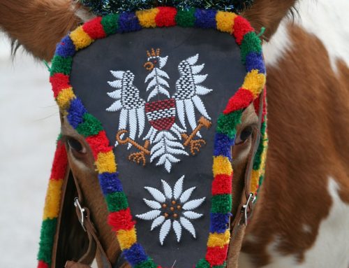 Bauernherbst und Almabtrieb in der Steiermark 20.09.2023 – 24.09.2023