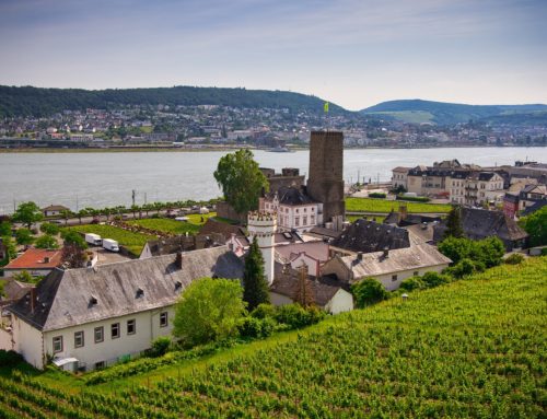 Adventszeit auf dem Rhein 11.12.2023 – 14.12.2023