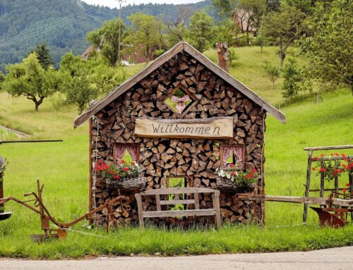 Schwarzwald –  28.08. – 01.09.2023
