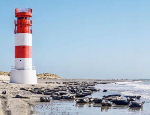 Frühling in Nordfriesland vom 03. – 07.05.2026